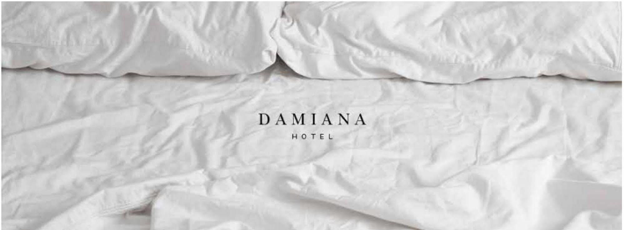 Hotel Damiana Boutique Queretaro Ngoại thất bức ảnh